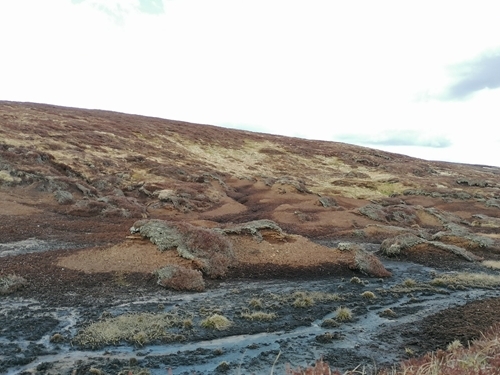 Muirburn 2