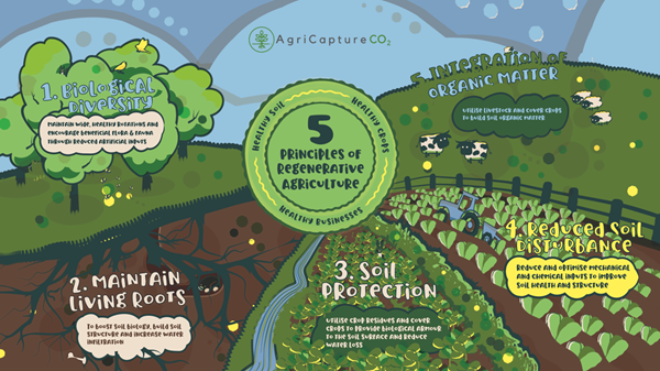 5 Principles 5 Principles