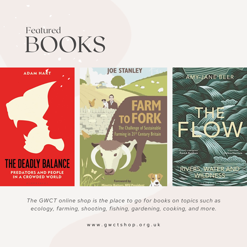 Neutral Beige Instagram Post Featured Books