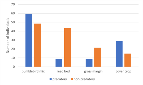 The average amounts of predatory and non-predatory invertebrates we found in four habitats at Gilston farm
