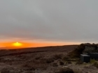 Grouse Monitoring Services