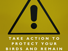 DEFRA issues new guidance for England in response to heightened risk of Avian Influenza
