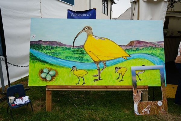 Curlew painting RWAS