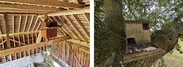 Barn owl boxes Barn owl boxes