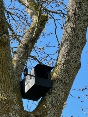 Kestrel nest box Kestrel nest box