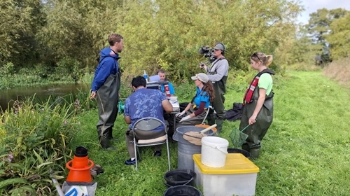 Salmon Tagging At River Salmon Tagging At River