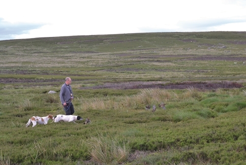 38 Counting Grouse 38 Counting Grouse