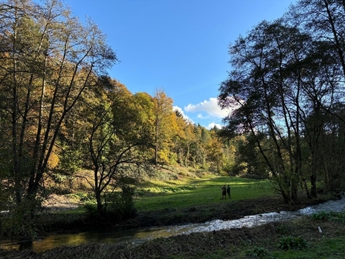 Shropshire Raffle - Pippa Hackett Shropshire Raffle - Pippa Hackett