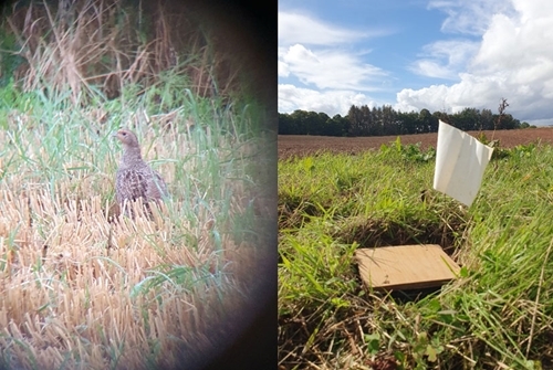 Student -blog -oct -25 Student -blog -oct -25