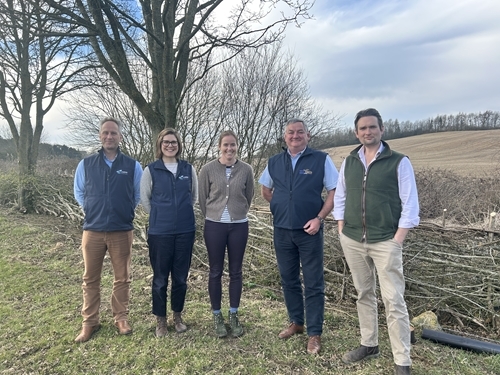 Allerton Press Release Allerton Press Release