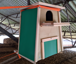 Barn Owl Box Ellie Ness 800x 600