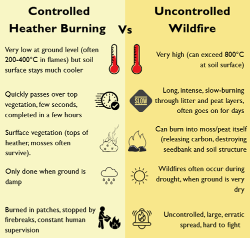 Burning WTTS Burning WTTS
