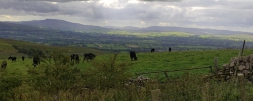 Eden Valley Eden Valley