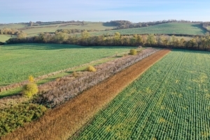 Winter Bird Seed Mixes Loddington