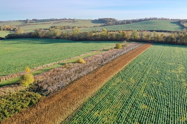 Winter Bird Seed Mixes Loddington Winter Bird Seed Mixes Loddington