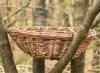 Owl Basket James Morgan Cropped