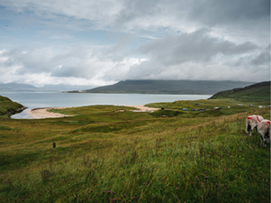 Scotland Landscape - Canva