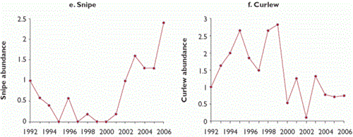 Trends in abundance of 10 bird species at Langholm Moor, 1992-2006 Trends in abundance of 10 bird species at Langholm Moor, 1992-2006