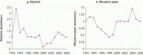 Trends in abundance of 10 bird species at Langholm Moor, 1992-2006 Trends in abundance of 10 bird species at Langholm Moor, 1992-2006