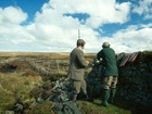Our MPs' briefing for the parliamentary debate on banning driven grouse shooting